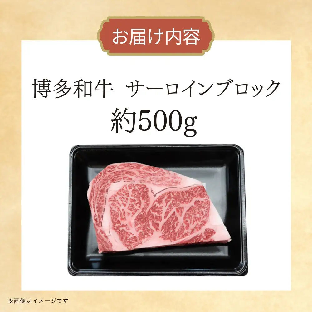DK-021_博多和牛　サーロインブロック　約500g