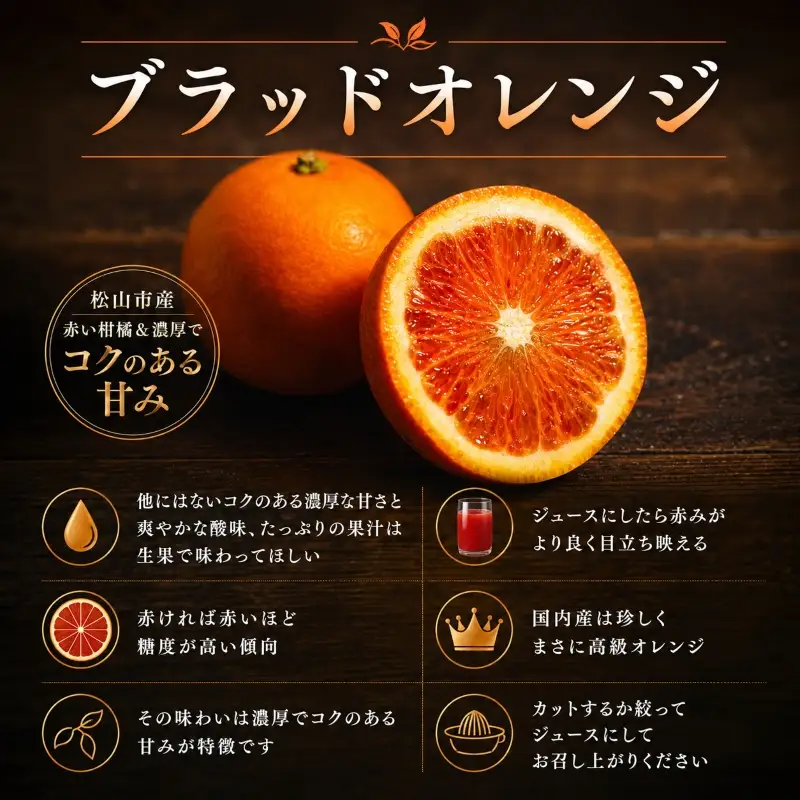 【2027年3月中旬頃から順次発送】  ブラッドオレンジ 5kg ｜愛媛 タロッコ 果物 ビタミン 健康 フルーツ 柑橘 農家直送 産地直送 数量限定  松山  くだもの 果実 有名 みかん 愛媛県産 瀬戸内 デザート スイーツ おすすめ 国産 青果 酸味 果汁 果肉 蜜柑 ミカン あかい 松山市産みかん 甘い 美味しい お取り寄せ グルメ ギフト 期間 ご当地 愛媛県 松山市 【HMN024】