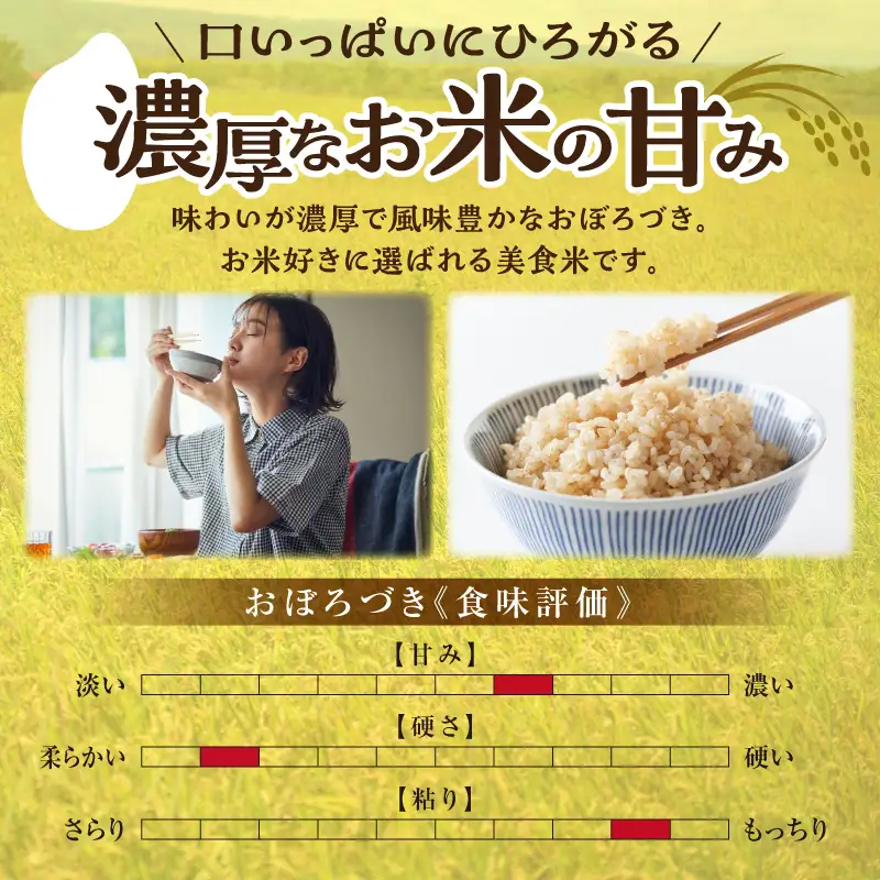 【定期便2回】令和7年産 おぼろづき 玄米 10kg（5kg×2袋）雨竜産 北海道