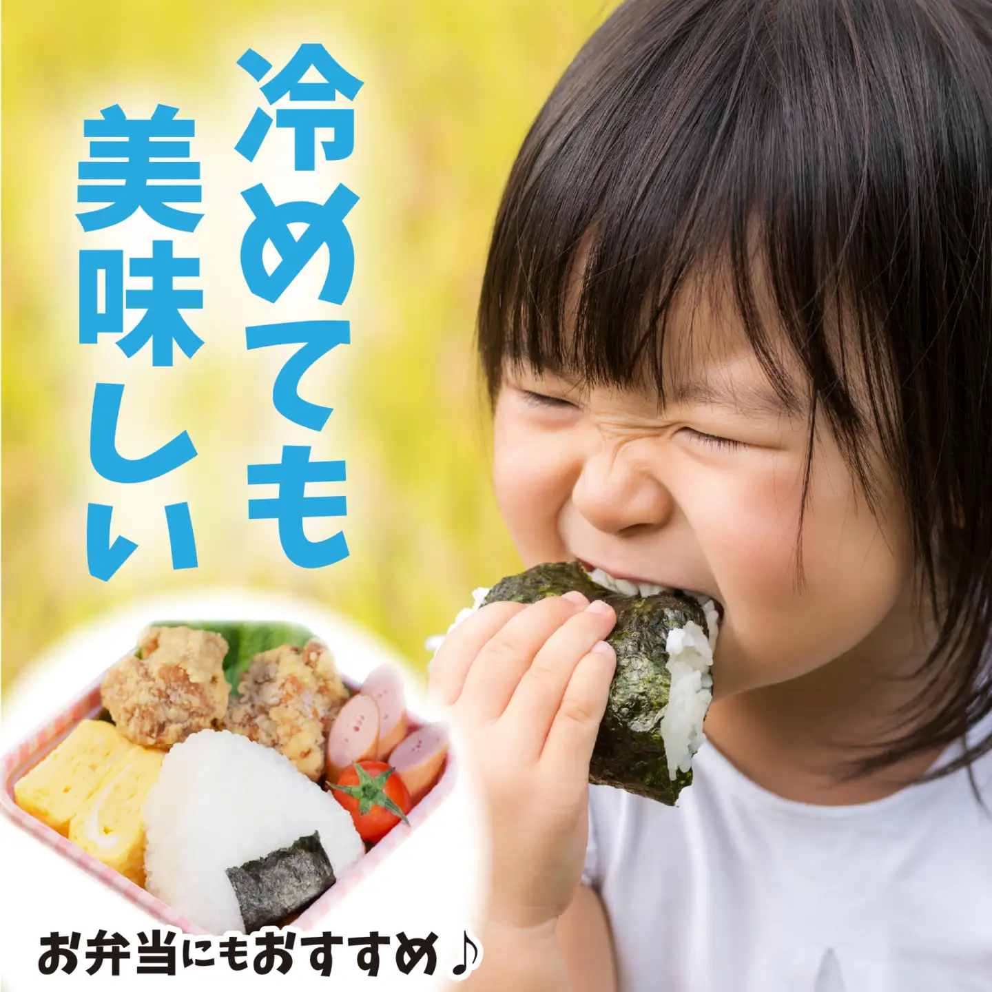 令和8年産 福井県産コシヒカリ【無洗米 5kg×2袋】 [B-014023] 白米