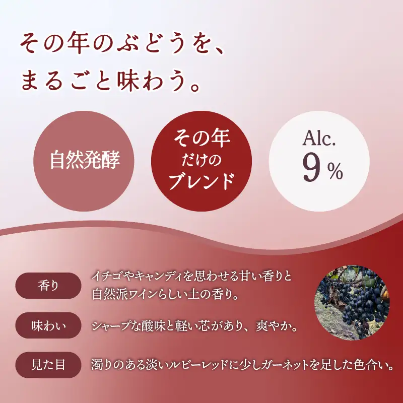 カマシカモス 2025年 ロゼ 中辛口 2本【むつみワイナリー】