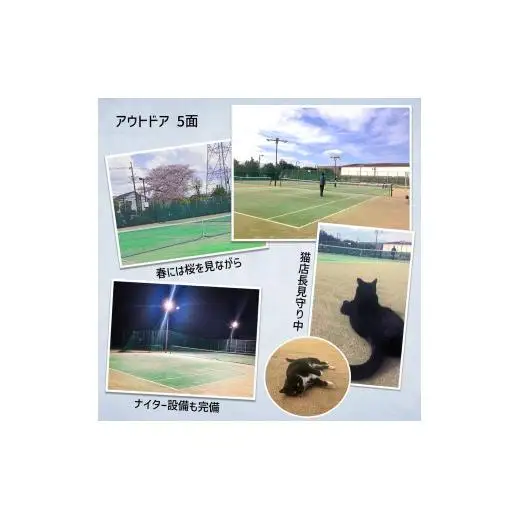 白井テニスクラブ利用券 3,000円分 レンタルテニスコート＆スクール対応 ラケットやボールの貸出あり 手ぶらでテニス レンタルテニスコート レンタルコート テニス練習 テニススクール 体験レッスン 商品券