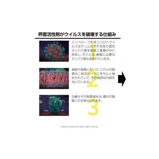 除菌剤 濃縮液 1000mL 陰イオン性界面活性剤2% コロナ対策 ウイルス 消毒 除菌 陰イオン界面活性剤