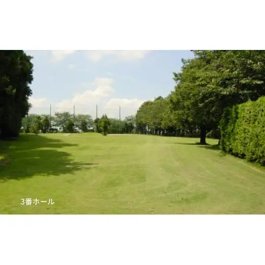 ゴルフ場利用券 白井ゴルフ林間ショートコース 平日2回プレー券 2名様分 白井市 ゴルフ場 お一人様でも回れるゴルフ場 おすすめ 体験 千葉 初心者歓迎 ショートコース ペアチケット 体験チケット