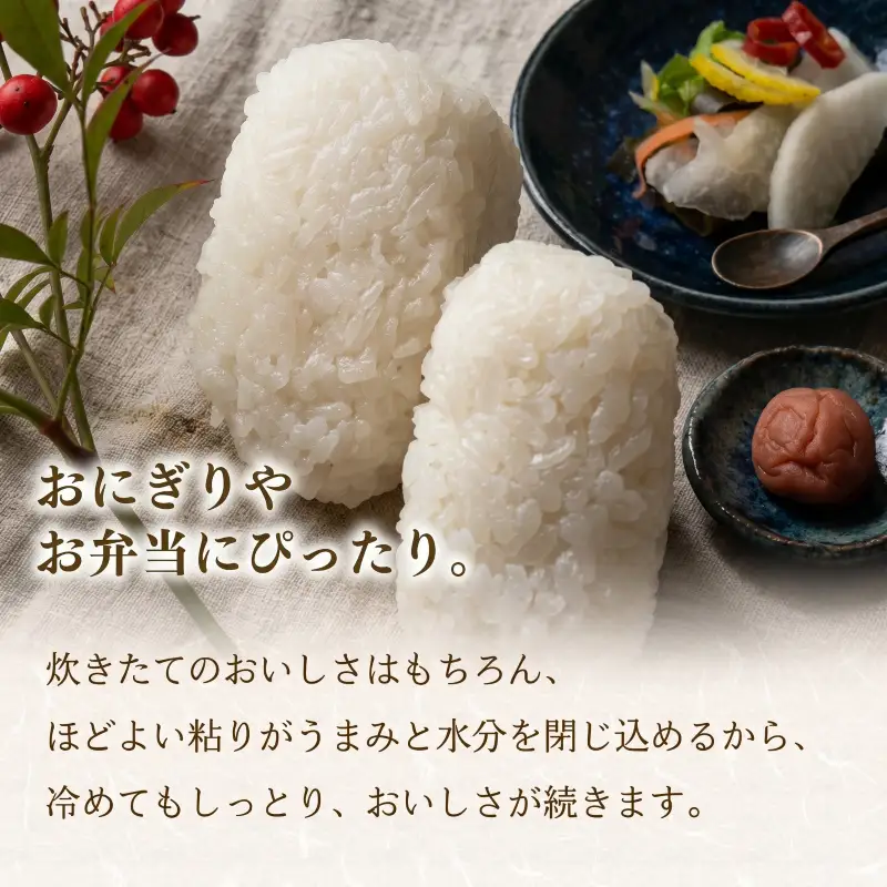 【美しさピカイチ】令和7年産 コシヒカリ ３㎏ 精米 こしひかり 米 お米 こめ ごはん ご飯 ライス 朝食 昼食 夕飯 炊きたて 希少 プレミアム 美人舞 こだわり 美しさ かがやき 輝き JGAP GAP認証 和食 自然 加治川 加治川産 新潟産 新潟 新潟県 新発田産 新発田市 新発田  アグリ加治川 agk010