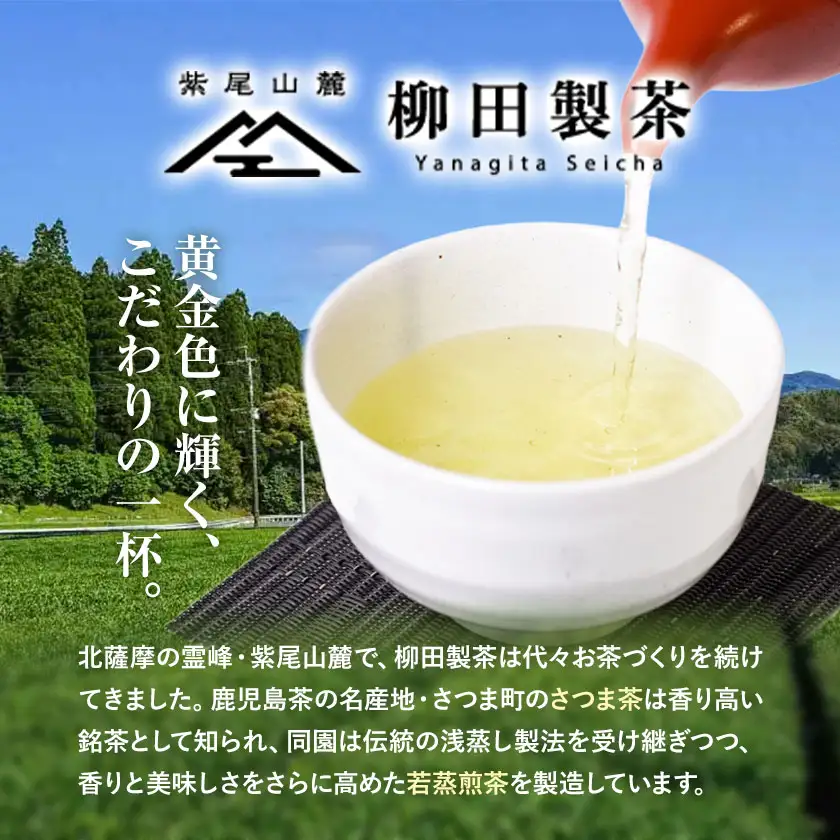 若蒸煎茶 さえみどり 新茶 80g×3袋 柳田製茶 《5月上旬より順次出荷予定(土日祝除く)》