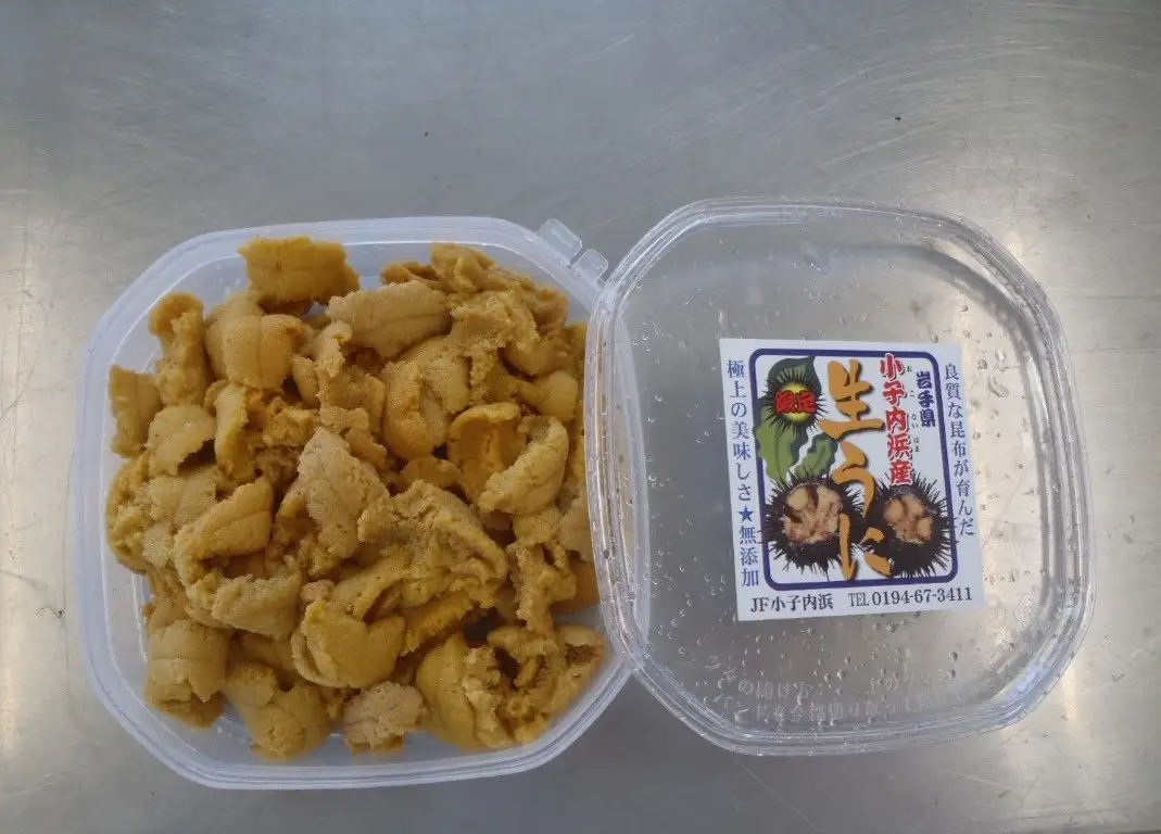 「種市産」天然生うに200g×1パック ミョウバン不使用 無添加 北三陸 増殖溝 雲丹 産地直送