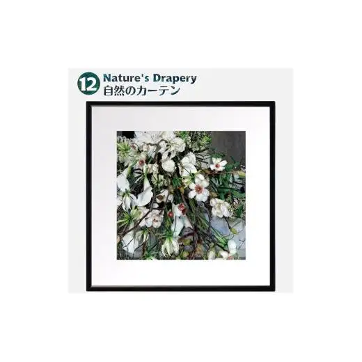 日比谷花壇のフラワーフレームアート Nature's Drapery（自然のカーテン） ソフケン アルミフレーム 25x25cm アートポスター ポスターフレーム 花ポスター インテリア おしゃれ 花 植物 贈り物 プレゼント ギフト 軽量フレーム ボタニカルアート フラワーアート 癒しの空間
