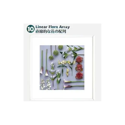 日比谷花壇のフラワーフレームアート Linear Flora Array（直線的な花の配列） ソフケン アルミフレーム 25x25cm アートポスター ポスターフレーム 花ポスター インテリア おしゃれ 花 植物 贈り物 プレゼント ギフト 軽量フレーム ボタニカルアート フラワーアート 癒しの空間