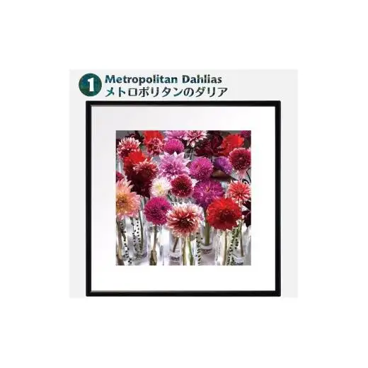 日比谷花壇のフラワーフレームアート Metropolitan Dahlias（メトロポリタンのダリア） ソフケン アルミフレーム 25x25cm アートポスター ポスターフレーム 花ポスター インテリア おしゃれ 花 植物 贈り物 プレゼント ギフト 軽量フレーム ボタニカルアート フラワーアート 癒しの空間