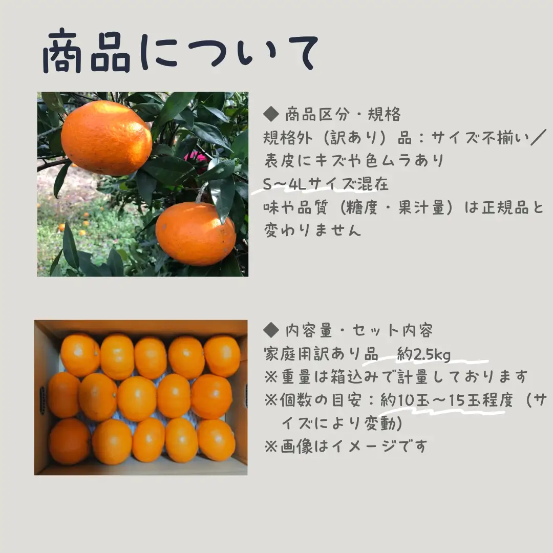 【2027年2月中旬頃から順次発送】訳あり 甘平 約 2.5kg | かんぺい みかん ブランド 柑橘 フルーツ 果物 蜜柑 愛媛三大柑橘（ 紅まどんな せとか 甘平 ） 愛媛 松山【HNT020】