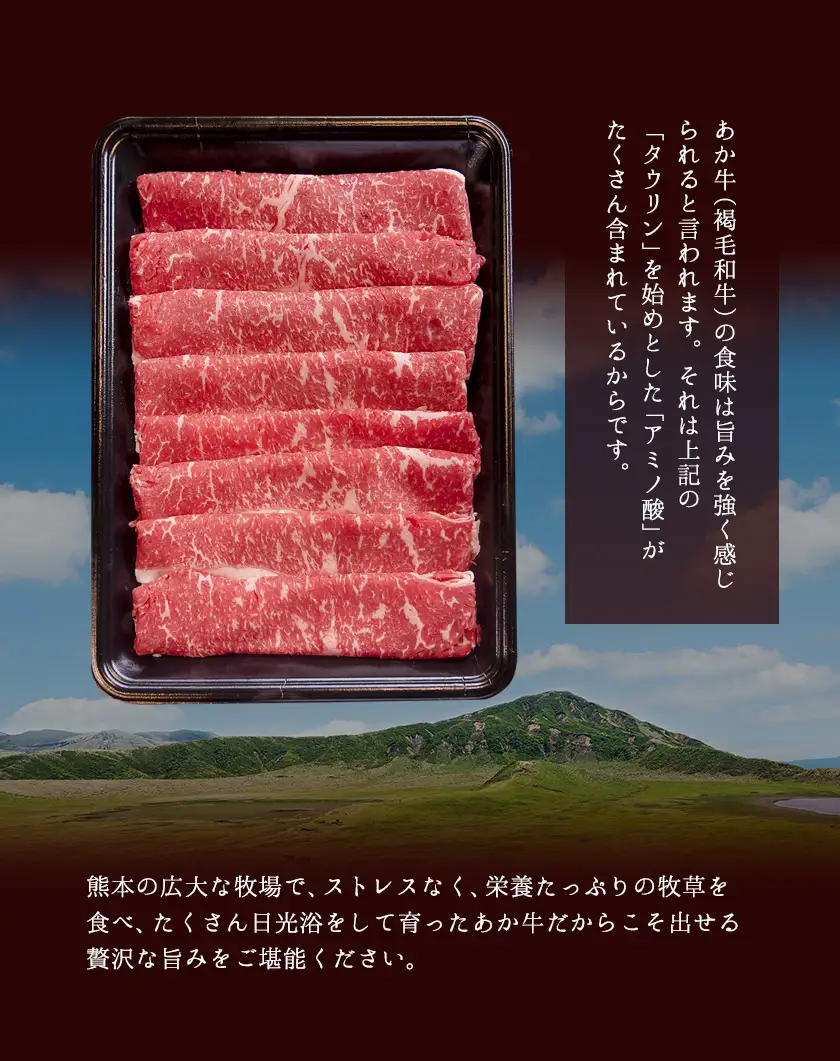 あか牛(褐毛和牛) ローススライス (リブまたはサーロイン) 500g 熊本県産 肉 和牛 牛肉 赤牛 あかうし リブロース サーロイン 冷凍 《30日以内に出荷予定(土日祝除く)》送料無料 熊本県南関町