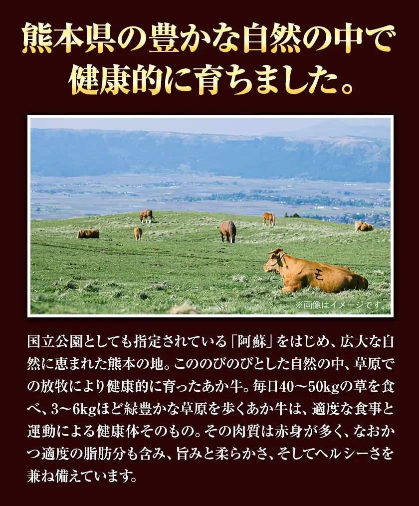 あか牛切り落とし 1.1kg(275g×4パック)　赤身切り落としスライス《30日以内に出荷予定(土日祝除く)》肉 牛肉 切り落とし 国産牛 切落とし ブランド牛 すき焼き スライス カレー 焼肉 小分け