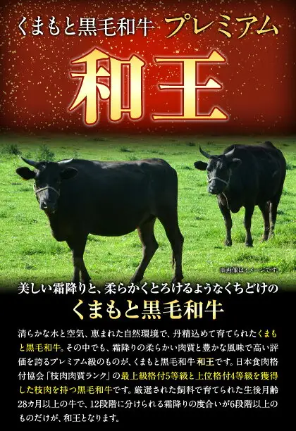 くまもと黒毛和牛 和王 バラ 霜降り 焼肉切り落とし 550g A5 A4 等級《30日以内に出荷予定(土日祝除く)》熊本県 南関町 黒毛和牛 牛肉 冷凍 個別 取分け 小分け チャック付き バラ凍結 肉 お肉 焼き肉 焼き肉用