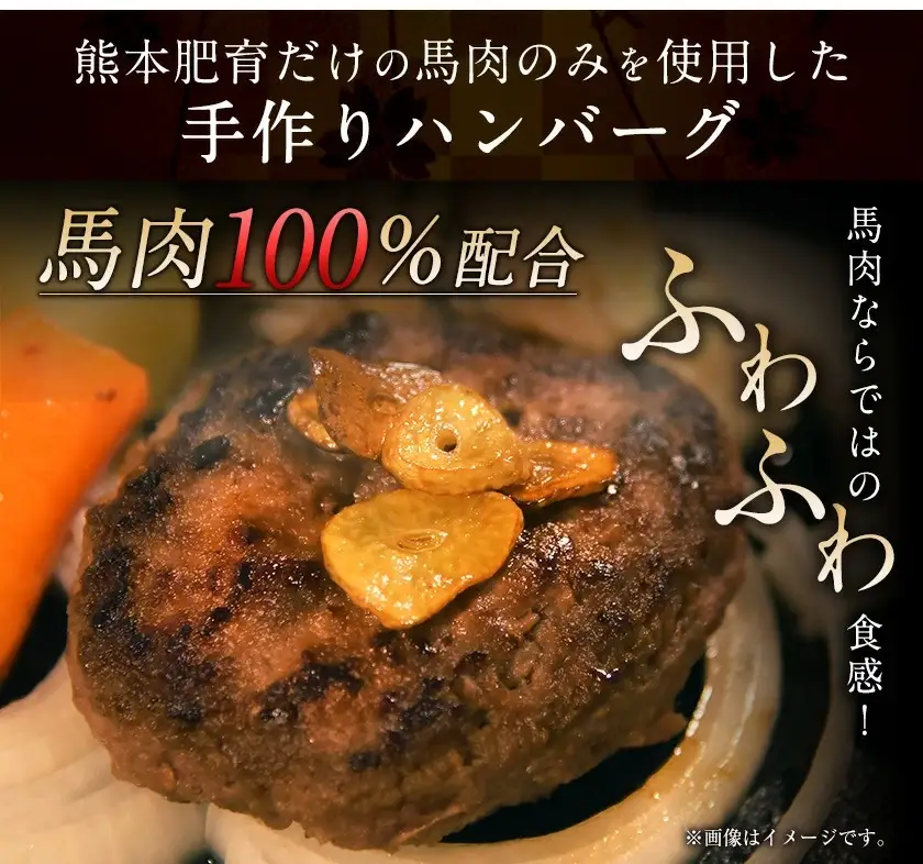 手作りハン馬ーグ 100g×10個 馬肉100%配合！【熊本肥育】ハンバーグ たっぷり 冷凍 お中元 肉 お手軽 お取り寄せ《30日以内に出荷予定(土日祝除く)》