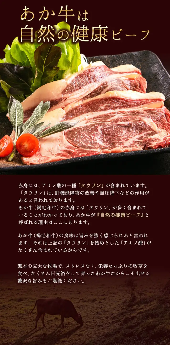 あか牛（褐色和種）ロースステーキ (リブまたはサーロイン) 250g×2 500g 熊本県産 肉 和牛 牛肉 赤牛 あかうし リブロース サーロイン 冷凍 《30日以内に出荷予定(土日祝除く)》