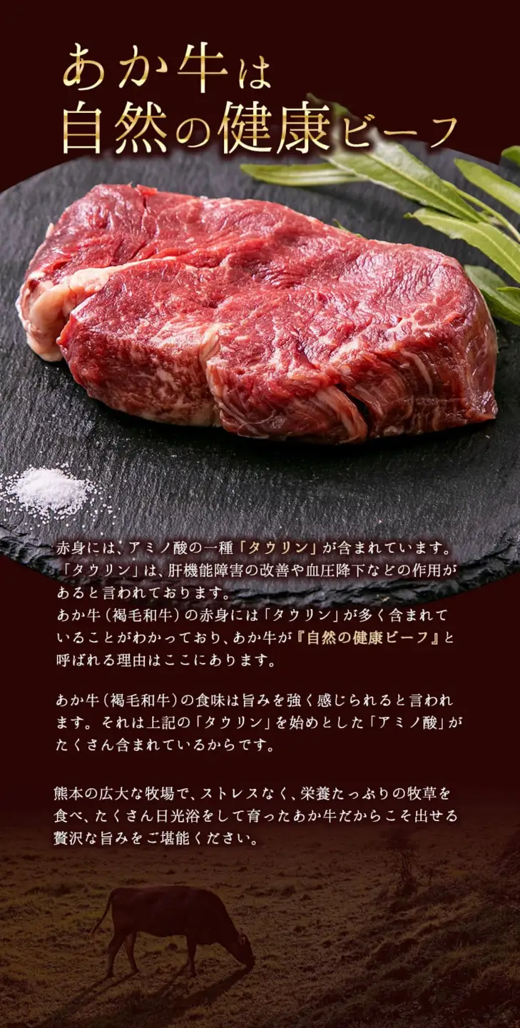  あか牛（褐毛和牛） ヒレステーキ 450g フィレ ヘレ《90日以内に出荷予定(土日祝除く)》