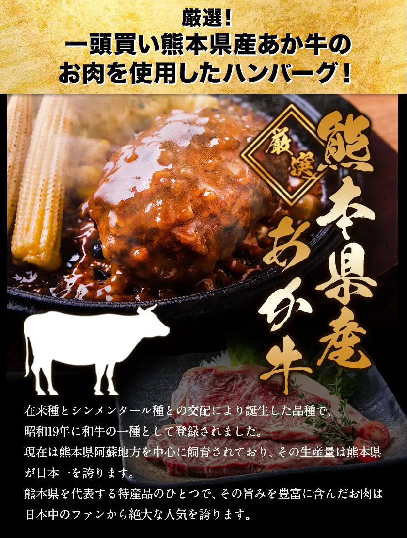 【ふるなびWEEK対象】ハンバーグ 140g 13個 熊本県産 あか牛 100% 生ハンバーグ