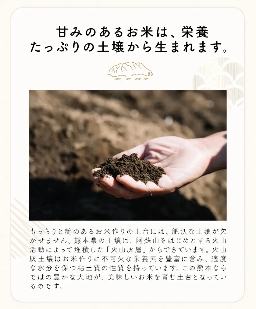 米 南関町 せきゆらり 無洗米 10kg《7-14日以内に出荷予定(土日祝除く)》熊本県産 国産 無洗米 こめ コメ 10キロ