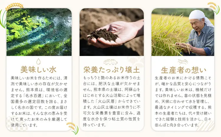 【12ヶ月定期便】米 南関町 せきゆらり 無洗米 5kg《申込みの翌月から出荷開始》熊本県産 国産 無洗米 こめ コメ 5キロ