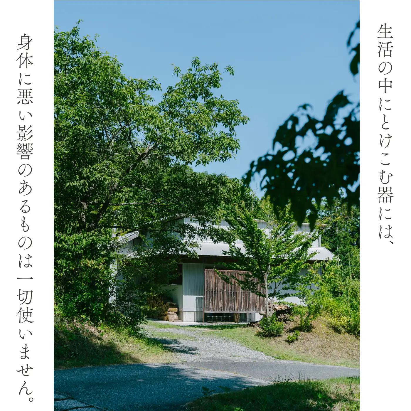 放物型カップ ：雲釉(白マット)