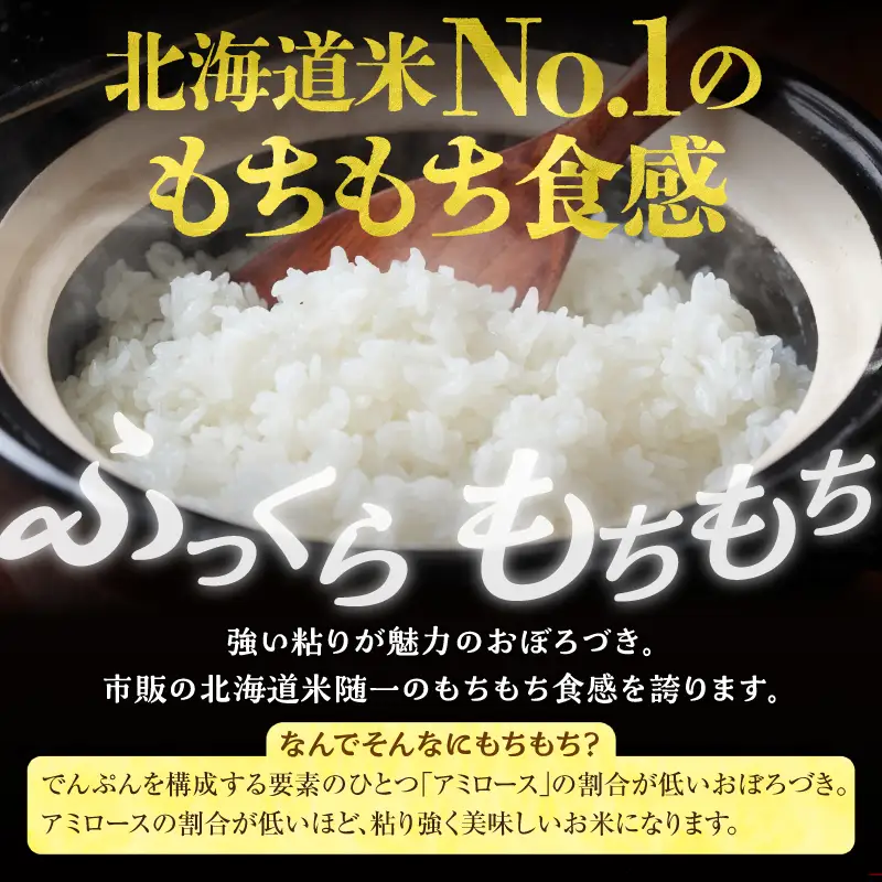 【定期便2回】令和7年産 おぼろづき 5kg（5kg×1袋）雨竜産 北海道