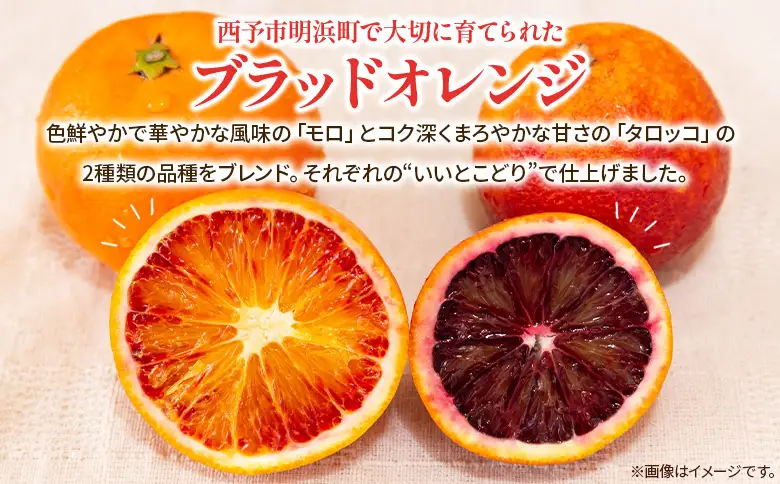 ＜ブラッドオレンジジュース 720ml 6本セット＞『1か月以内に順次発送予定』果汁 フルーツ 果物 柑橘 みかん 蜜柑 ミカン みかんジュース 飲料 ドリンク 飲み物 渡江から一歩を踏み出す会 愛媛県 西予市 【常温】ATI0056
