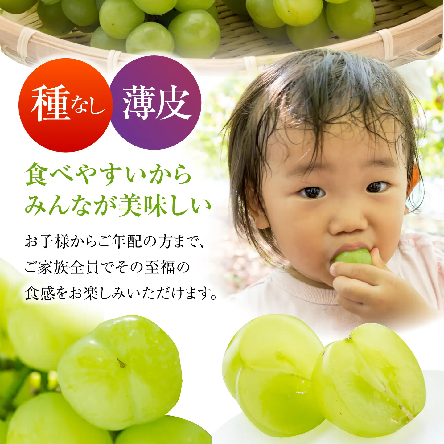 【先行予約】 瀬戸ジャイアンツ 700g以上 【小林農園】 / ブドウ ぶどう 果物 種なし[HAX005]