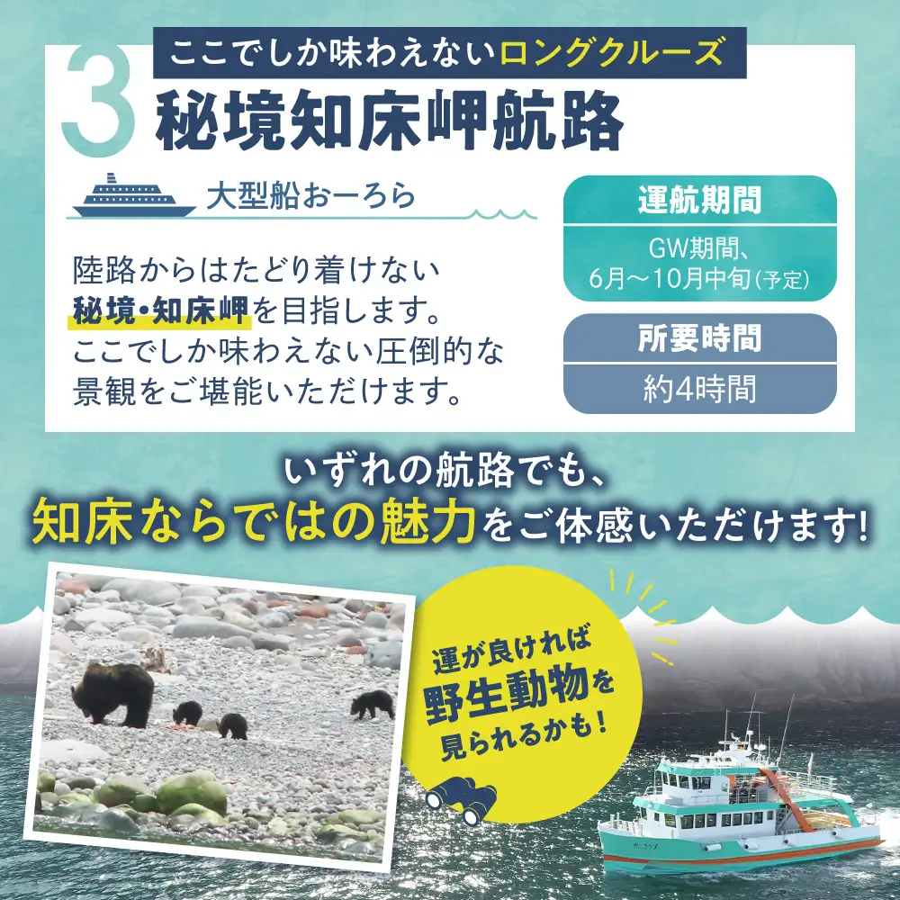 知床観光船おーろら 利用優待券(3,000円分)｜世界自然遺産 クルーズ 観光船 北海道 斜里町