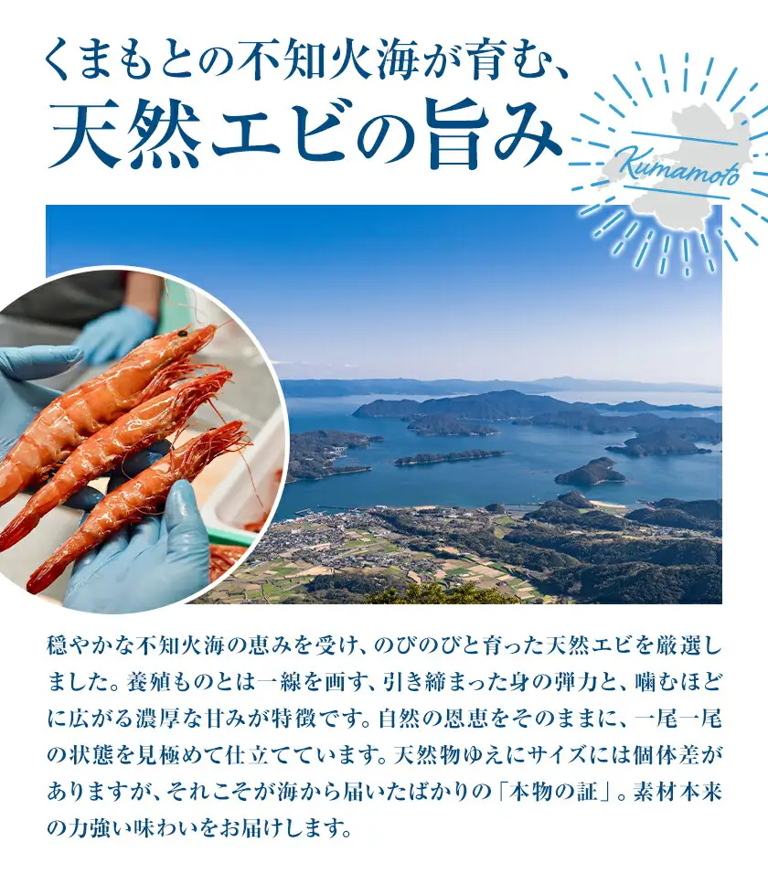 エビの味噌漬け 天然エビ Mサイズ 320g 7-9尾 海老 漁師ばい平国丸《30日以内に出荷予定(土日祝除く)》熊本県 津奈木町 不知火海 魚介 海鮮 海の幸 味噌漬け 加熱済み