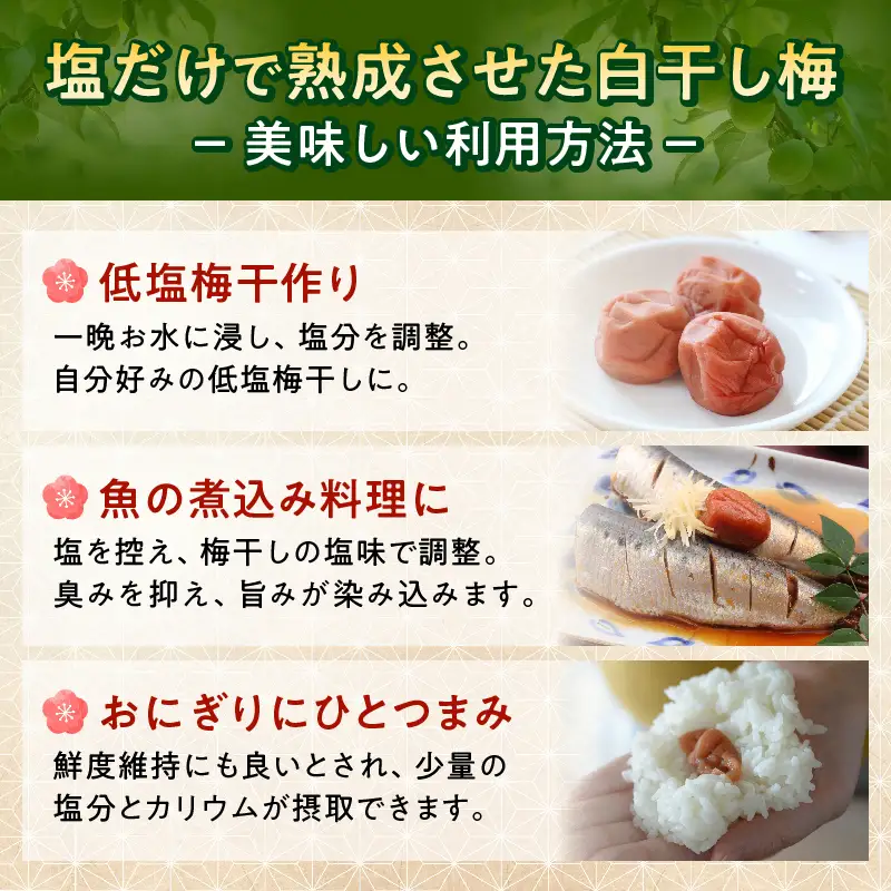 梅干し 訳あり昔ながらの塩だけ梅干し 塩分20% 約1kg_KS1002