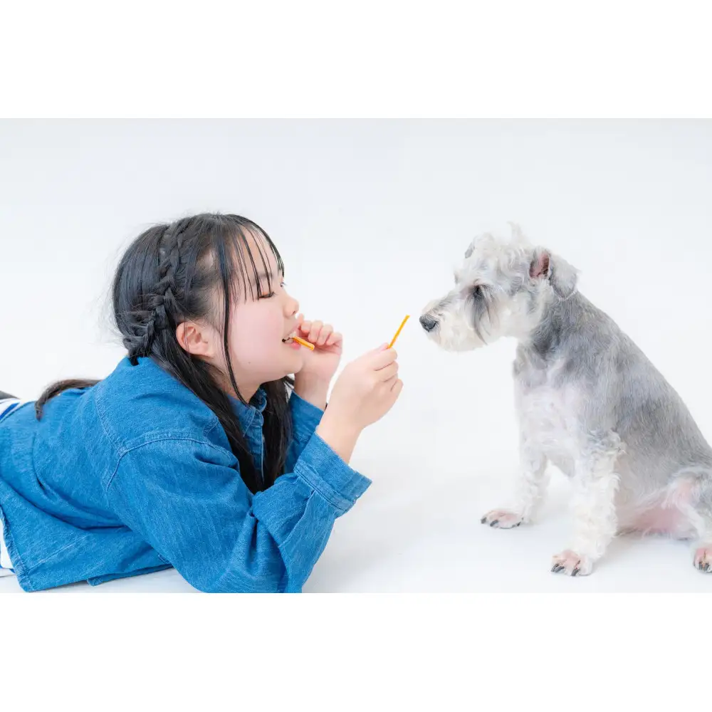 愛犬にもあげられるお菓子Chillわん スティックニョッキ | 犬用 おやつ ペット食品