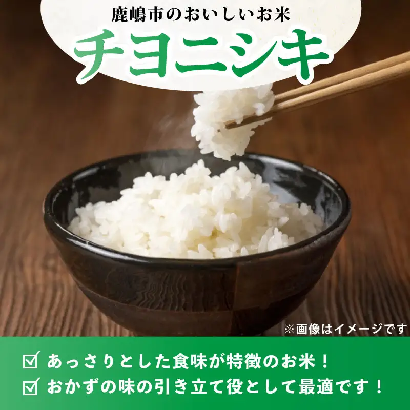 米 精米 10kg 令和7年度産 チヨニシキ 米 kome