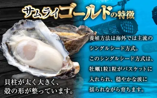 サムライゴールド 坂越産 殻付き生牡蠣 10個 かき カキ 牡蠣 生牡蠣 生がき 生ガキ 殻付き 殻 海の幸 魚介 貝 国産 兵庫県産