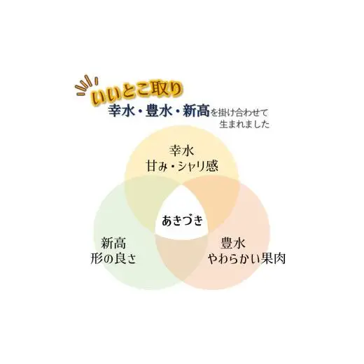 【2026年秋収穫分】あきづき 5kg 12～16玉 しろいの梨 予約受付 果汁たっぷり 甘い 美味しい ジューシー 千葉県 白井市