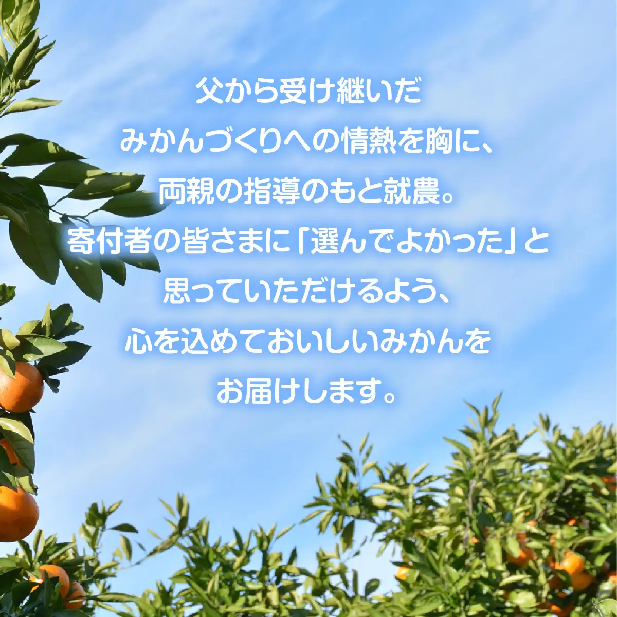 うんしゅうみかんジュース720ml 6本【E101-2】YWTBV002