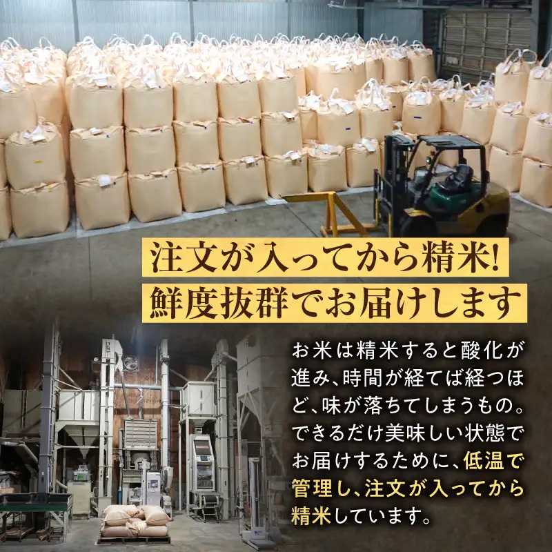 【新米予約】令和８年産【定期便全3回】 雨竜産 ななつぼし 精米 5kg（5kg×1袋）毎月1回お届け ＜ フジエファーム ＞