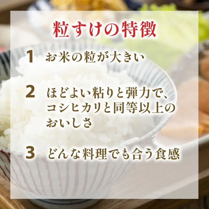 【先行予約】 令和8年産 無洗米 粒すけ 5kg 【 無洗米 】