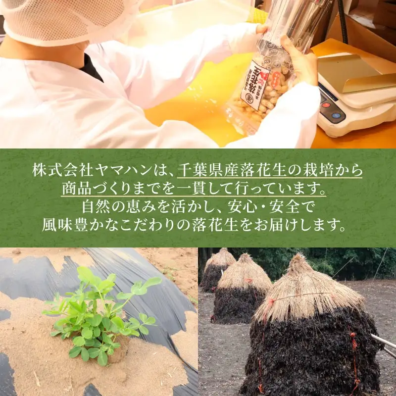 ＼最短7営業日以内発送／ 中実バタピー ピーナッツ 落花生 バタピー 675g (135g × 5袋)  【 ピーナッツ 】