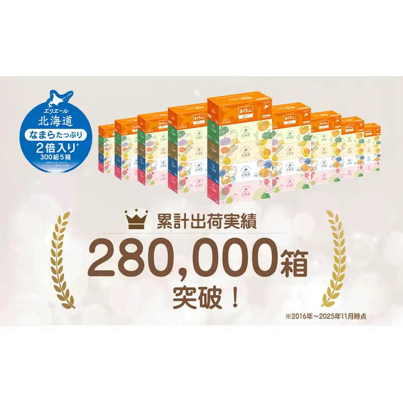 エリエール 北海道ティシュー 300組 5箱×1パック なまらたっぷり 大容量 最短 10日以内 最短配送 ボックスティシュー 箱ティッシュ まとめ買い ペーパー 紙 防災 常備品 消耗品 備蓄 日用品 生活必需品 北海道 赤平市