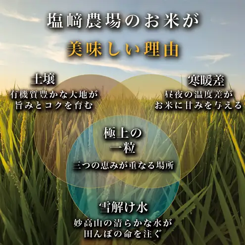 【先行予約 10月より順次出荷】塩崎農場 にじのきらめき 精米 にじのきらめき 5kg