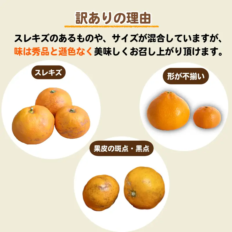 【2026年11月発送】訳あり 温州みかん 5kg + 250g(傷み補償分) みかん