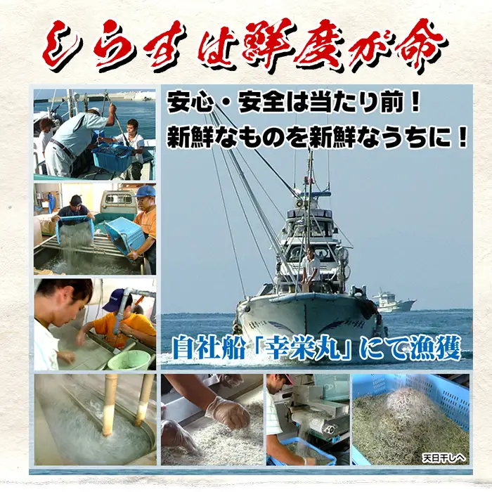 【5回お届けコース】ちりめん 網元の天日干し 200g×3P ちりめん【00-007-03-TK】