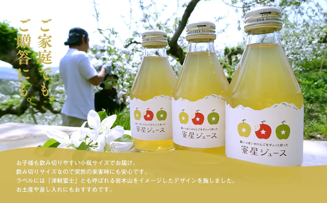  蜜星 りんごチップス 25g×3袋 りんごジュース 180ml×3本 セット 【hi-0039-012】