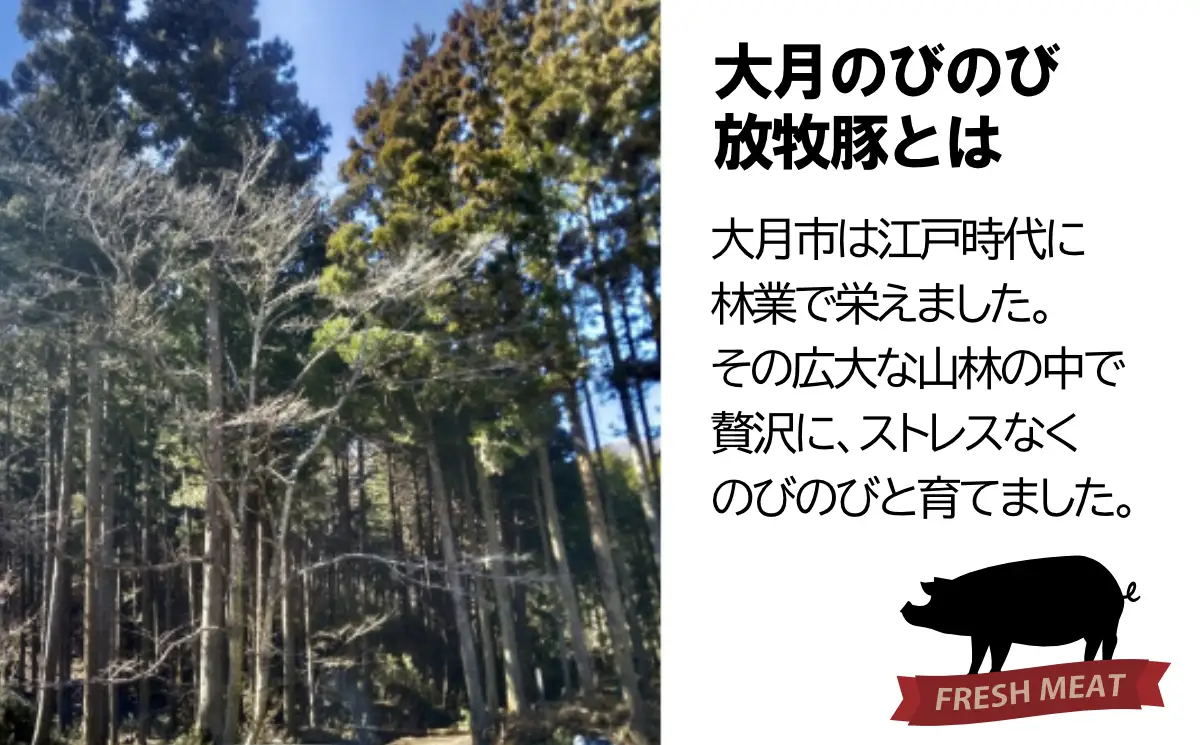 【希少豚】 大月のびのび放牧豚 【カツ・ステーキ用ロース】 600g以上 (約150g×4)