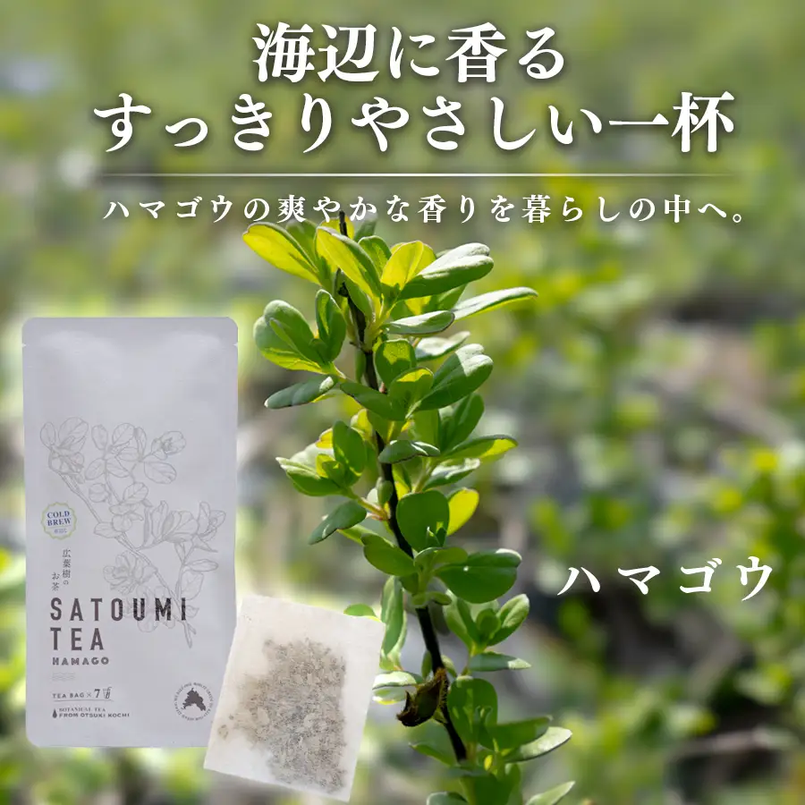 広葉樹のお茶 里海茶 飲み比べ 4袋 28パック入り ハマゴウ ブレンド カフェインフリー ハマゴウティー お茶 ティー ティーパック 自然栽培 野草茶 ボタニカルティー 飲料 高知県 大月町
