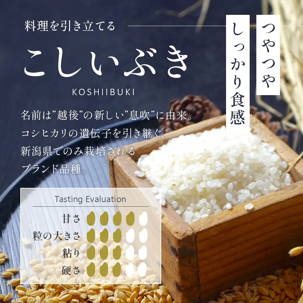 令和8年産【無洗米】新潟県産 こしいぶき 5kg