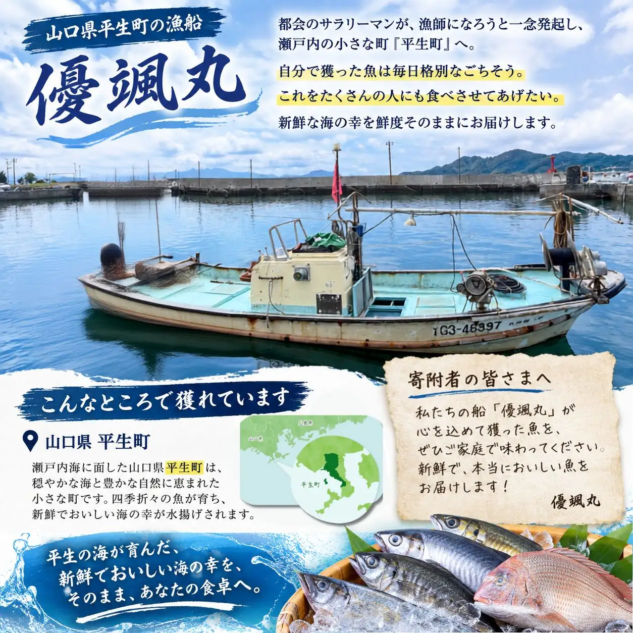 瀬戸内海の幸セット 生タコチルド 約 1kg