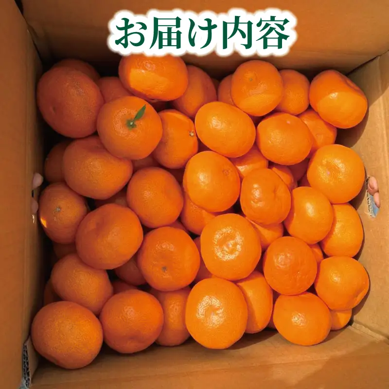 温州みかん 南柑20号 みかん 5kg 谷村農園 温州 愛媛みかん 愛媛蜜柑 愛媛ミカン うんしゅう ミカン 蜜柑 mikan 果物 フルーツ 柑橘 甘い 甘味 産地直送 農家直送 数量限定 国産 愛媛 宇和島 B016-201002