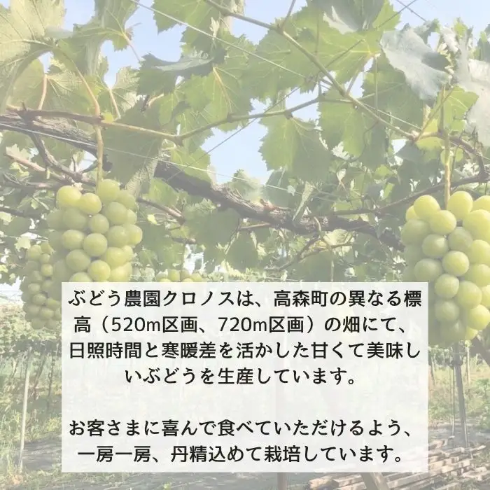 訳ありシャインマスカット2kg